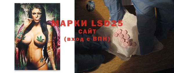 стафф Аркадак