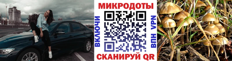 Псилоцибиновые грибы мухоморы купить наркоту Балтийск
